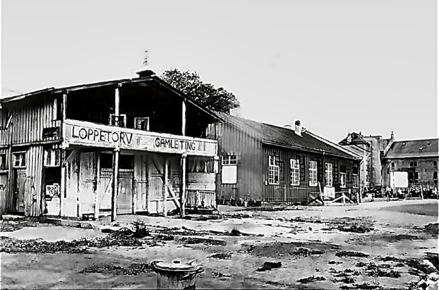 Christiania_fristaden_danmark_christiania_firstborn.dk_13