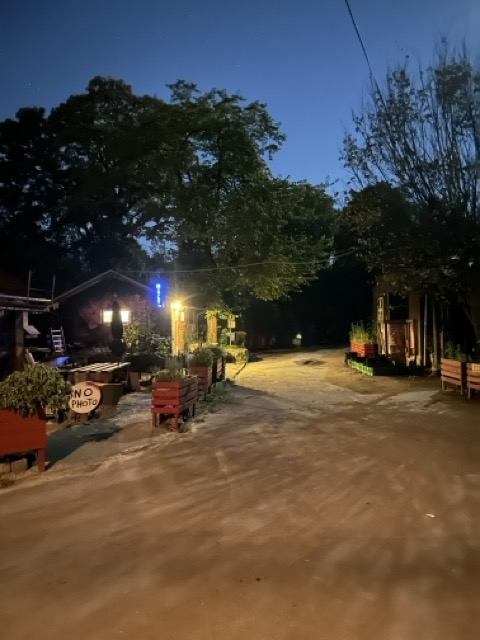 christiania_firstborn_afen_2024_9