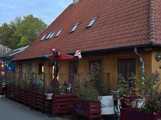 christiania_firstborn_dag_2024_29